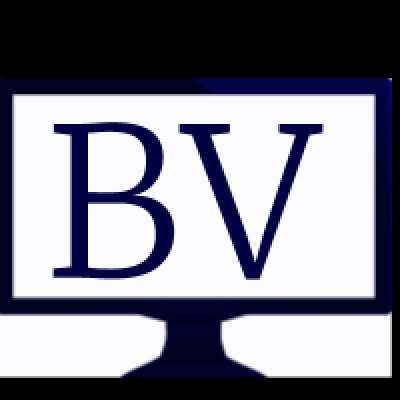 BisVue.com  avatar