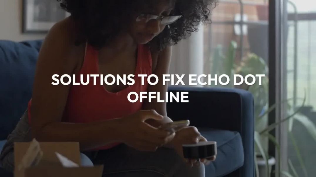 ⁣Solutions to Fix Echo Dot Offline Issue