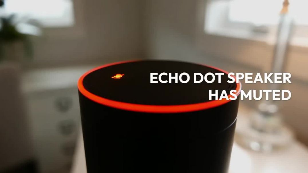 ⁣Steps to Fix Echo Dot Speaker not Working | Echo Dot Not Working Issue