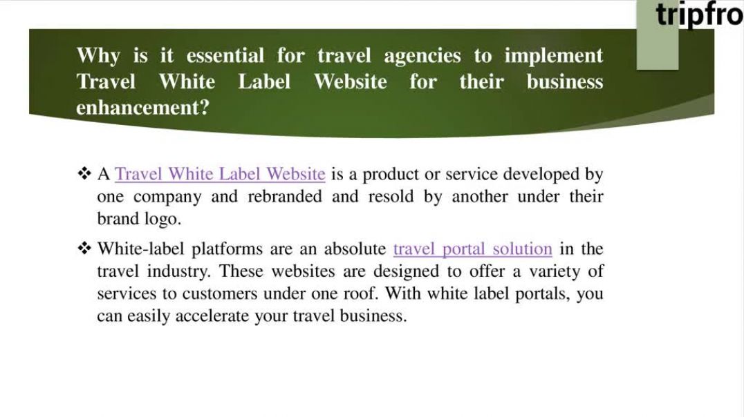 ⁣Travel White Label Website