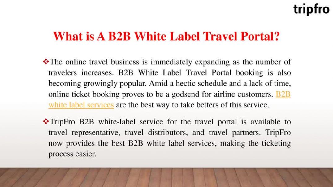 ⁣B2B White Label Travel Portal
