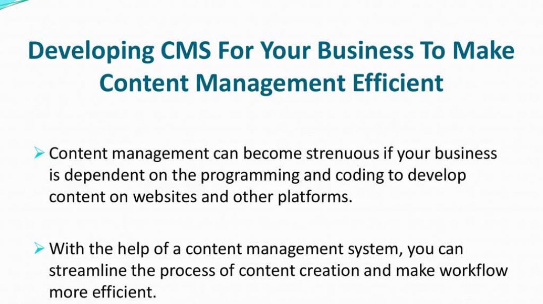 ⁣CMS Development Services