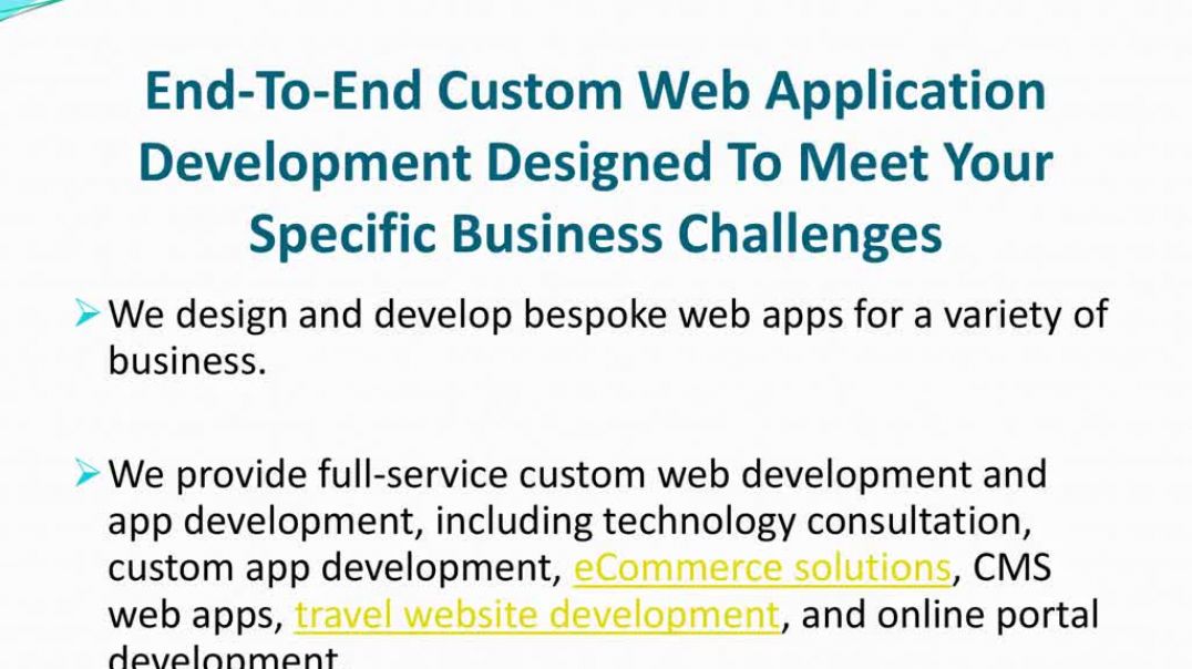 ⁣Custom Web Application Development