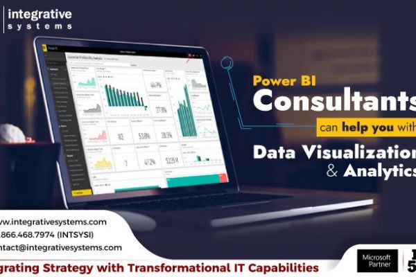Power BI Consultants Can Solve These Data Analytics Problems for your Business
