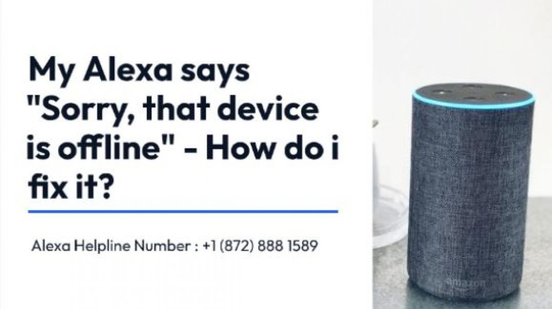 ⁣Solve Alexa says Sorry, that device is offline Issue