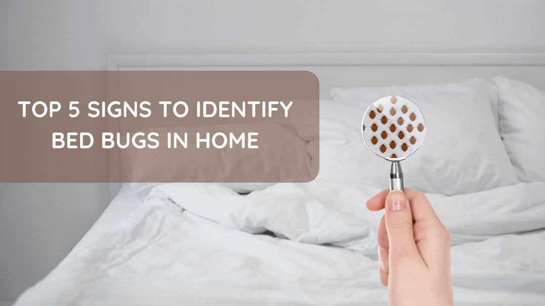 ⁣Top 5 Signs You Have Bed Bugs in Your Home | Steps to Identify Bed Bugs & Bed Bug Bites - Bed Bu