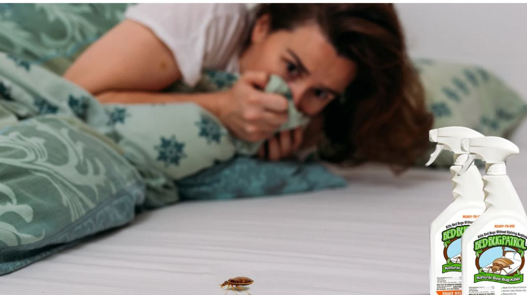 Natural Bed Bug Treatment - Get Rid of Bed Bugs | Natural Bed Bug Spray, Traps, Patrol
