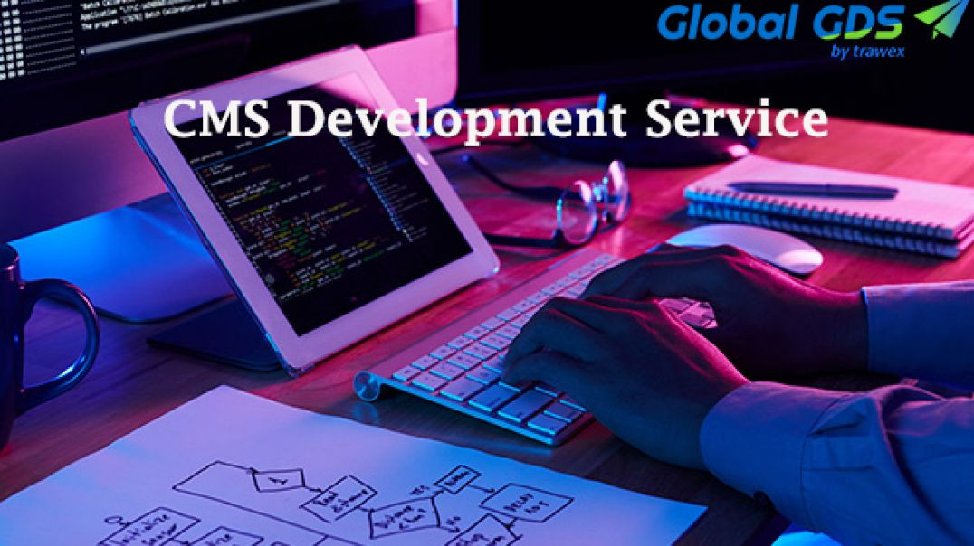 ⁣CMS Development Service