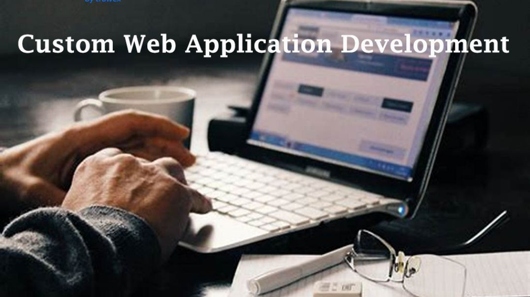⁣Custom web application development