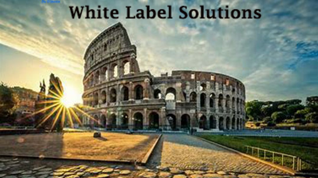⁣White Label Solutions (2)