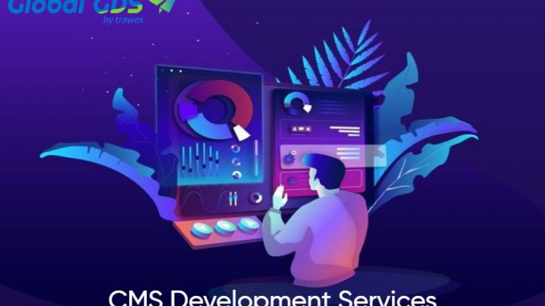 CMS Development Service (1)