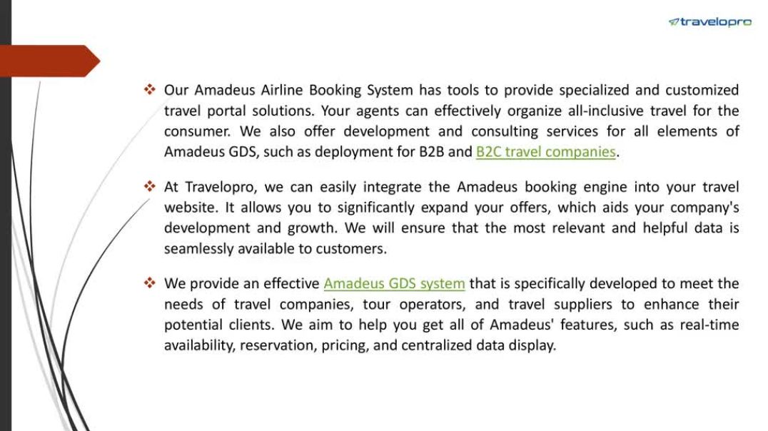 ⁣Amadeus Airline Reservation System